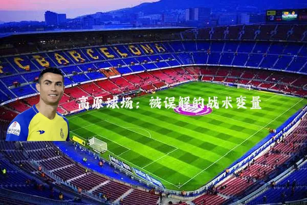 高原球场:被误解的战术变量
